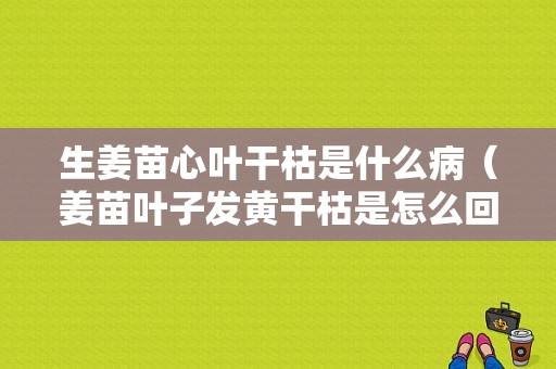 生姜苗心葉干枯是什么病（姜苗葉子發(fā)黃干枯是怎么回事）