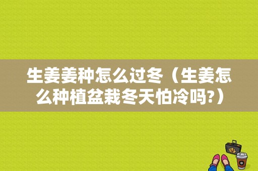 生姜姜種怎么過冬（生姜怎么種植盆栽冬天怕冷嗎?）-圖1