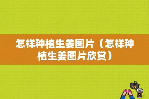 怎樣種植生姜圖片（怎樣種植生姜圖片欣賞）