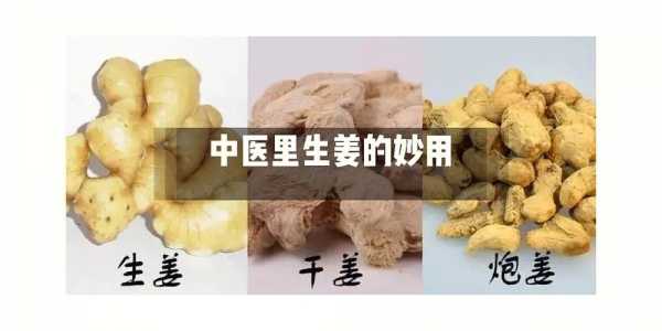 生姜功效壯陽(yáng)（我想知道生姜的功效）-圖1