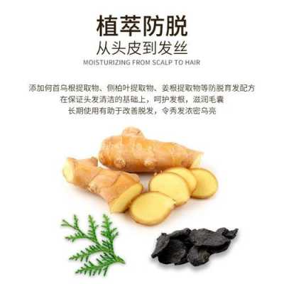 生姜育發(fā)膏好用嗎（生姜育發(fā)效果怎么樣）-圖1