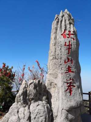 伏牛山生姜（伏牛山出了一名神醫(yī),你們聽說了么）-圖3