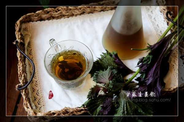 生姜紫蘇菊花（生姜和紫蘇一起泡茶喝嗎）