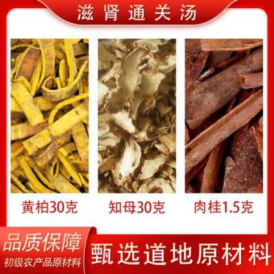 知母肉桂生姜（肉桂知母黃柏）