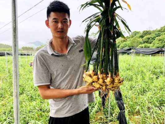 生姜青年的簡單介紹