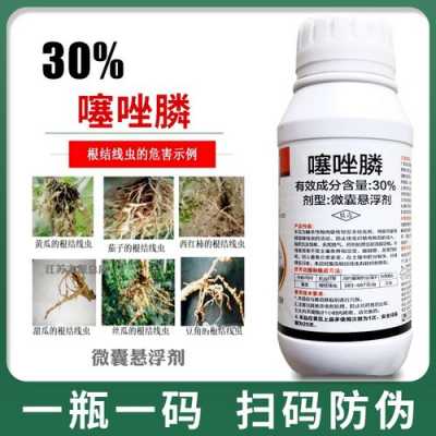 噻唑膦生姜（噻唑膦殺什么蟲）-圖1