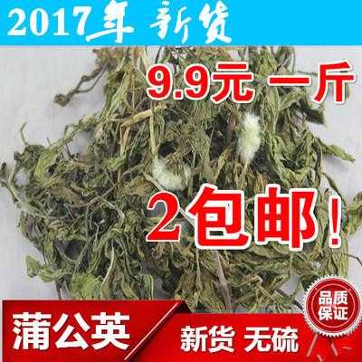 公英生姜（公英生姜水的功效）-圖1