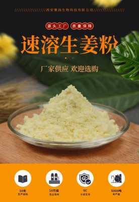 淄博速溶生姜粉廠家（生姜粉生產(chǎn)廠家）