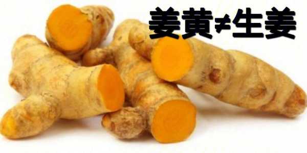 生姜屬于食物中的啥類（生姜是屬于什么）