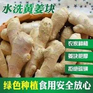 大黃生姜散（大黃和生姜的配伍作用）-圖2