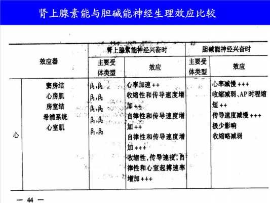 生姜腎上腺素（生姜腎上腺素含量）-圖3