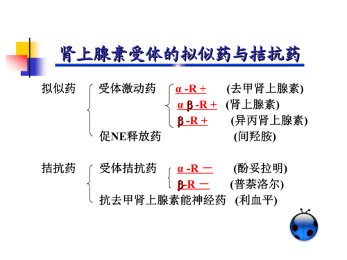 生姜腎上腺素（生姜腎上腺素含量）-圖2