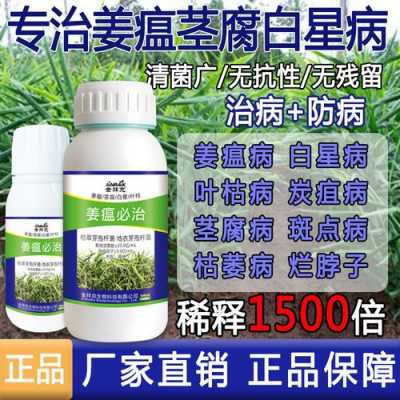 生姜葉斑病病原菌是什么（生姜葉斑病用什么藥最好）-圖2