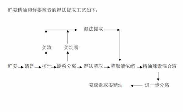 生姜提取技術（生姜提取工藝）-圖3