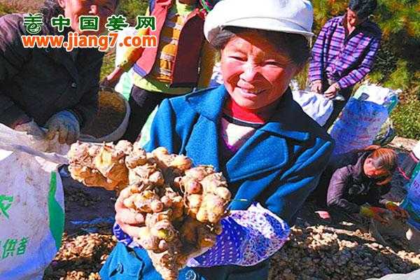 攀枝花生姜交易市場地址（攀枝花生姜交易市場地址在哪里）