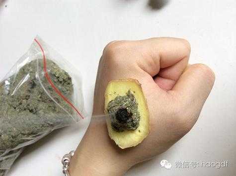 醋生姜艾灸（用生姜艾灸）