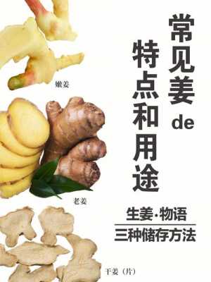 生姜也是佐料（生姜做調(diào)料作用）