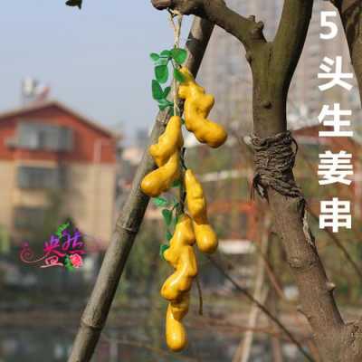 生姜造型展位（生姜造型創(chuàng)意）-圖3