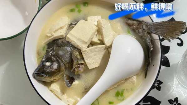 當(dāng)歸鯽魚豆腐能放生姜嗎（當(dāng)歸可以和鯽魚豆腐一起煮嗎）-圖1