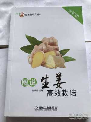 蔬菜生姜種植（生姜種植技術大全書）-圖1