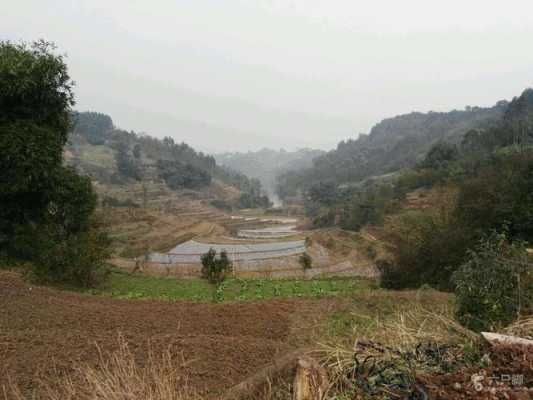 璧山生姜基地（璧山生姜基地在哪里）