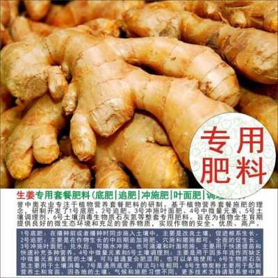 生姜需要追施什么肥料（生姜用什么肥料追肥最好）-圖2