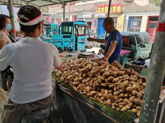 海豐縣蔬菜批發(fā)生姜（海豐縣農(nóng)貿(mào)批發(fā)市場）-圖1