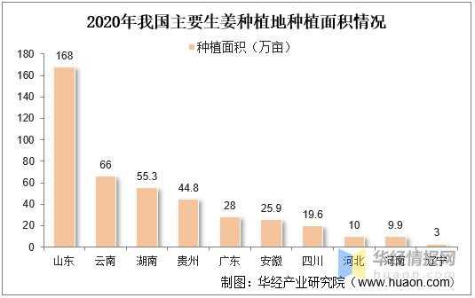 生姜種植面積（生姜種植面積2022年）-圖1