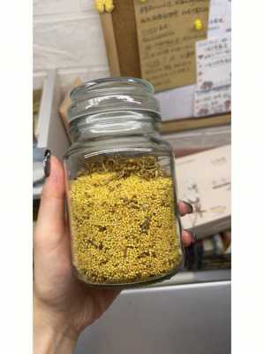 生姜炒小米茶（生姜和小米）