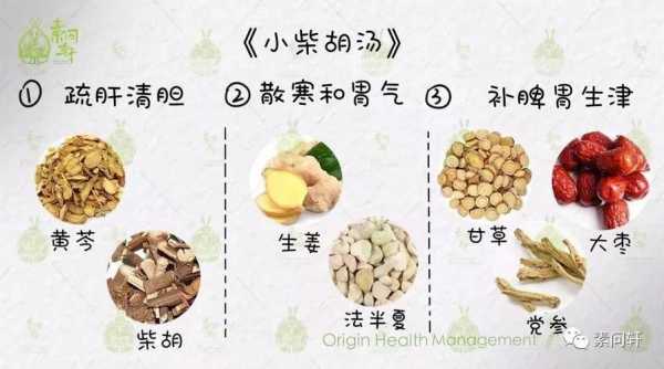 生姜用量（小柴胡湯生姜用量）-圖1