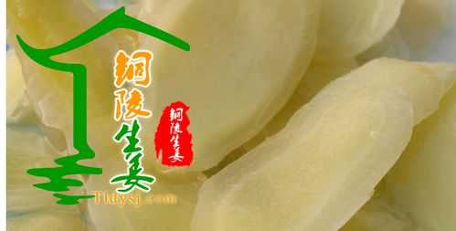 銅陵生姜網(wǎng)點(diǎn)（銅陵生姜百年老店品牌）