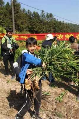 偷挖生姜（偷挖生姜禁牌怎么寫(xiě)）