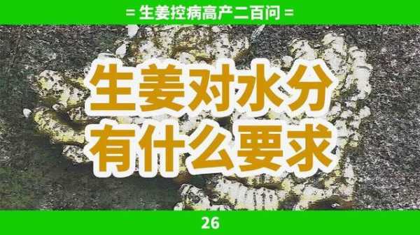 生姜水分要求（生姜含水量多少）-圖2