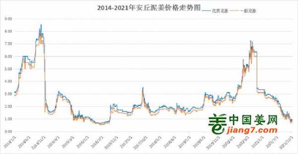 大生姜行情（大姜2021行情）-圖3