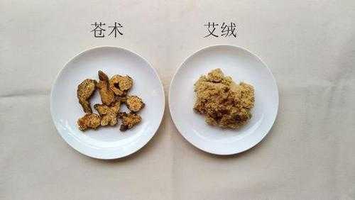 蒼術(shù)艾草生姜（蒼術(shù)和艾條可以一起熏嗎）