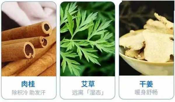 肉桂艾葉生姜備孕（肉桂加艾葉的功效與作用）-圖2