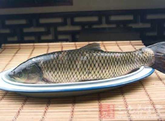 生姜治療草魚(yú)（草魚(yú)吃姜葉嗎）