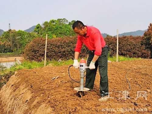 生姜打孔放風(fēng)（生姜打孔機(jī)種植生姜視頻）-圖2