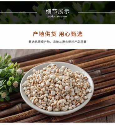 生姜炒薏仁功效作用（生姜炒薏仁功效作用與禁忌）-圖2