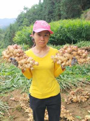 江華縣生姜（江華 縣）