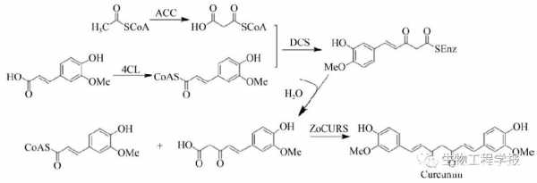 合成生姜素（合成姜黃素生產(chǎn)工藝）