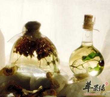 蓯蓉泡酒生姜（蓯蓉泡酒生姜能喝嗎）-圖3