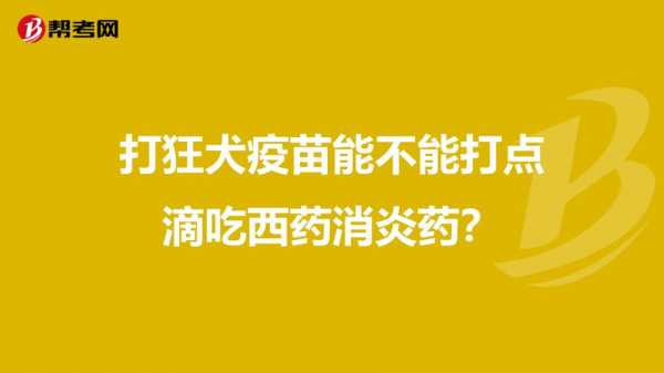 打完狂犬疫苗吃生姜可以嗎（打完狂犬疫苗能吃姜嗎?）-圖3