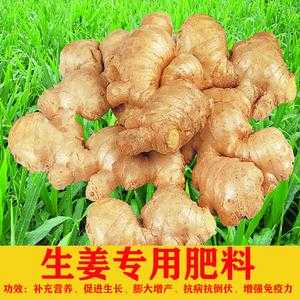 生姜噴施鉀肥每畝多少錢（生姜種植專用肥）-圖3