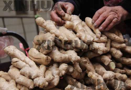 菜農怎樣儲存大量生姜呢（菜農怎樣儲存大量生姜呢圖片）-圖2