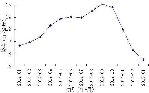 生姜價格生姜價格走勢（生姜價格行情 生姜最新價格2020）-圖2