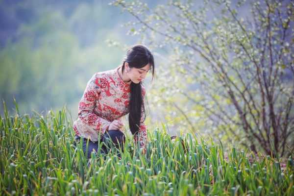 廚娘小芳做生姜（廚娘小芳做生姜怎么做）-圖3