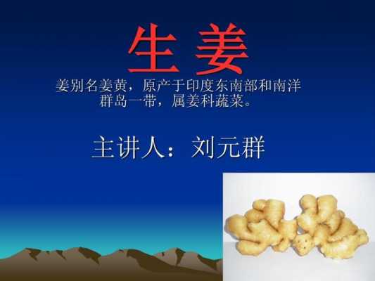 生姜創(chuàng)業(yè)PPT（生姜創(chuàng)業(yè)計劃書PPT）