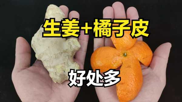 臘腸橘皮生姜（臘腸 陳皮）-圖1