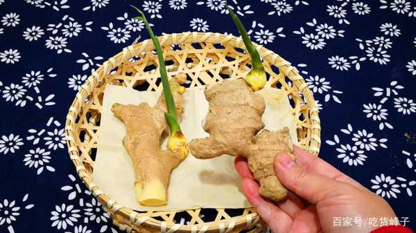 夏天放生姜（夏天生姜的保存方法）